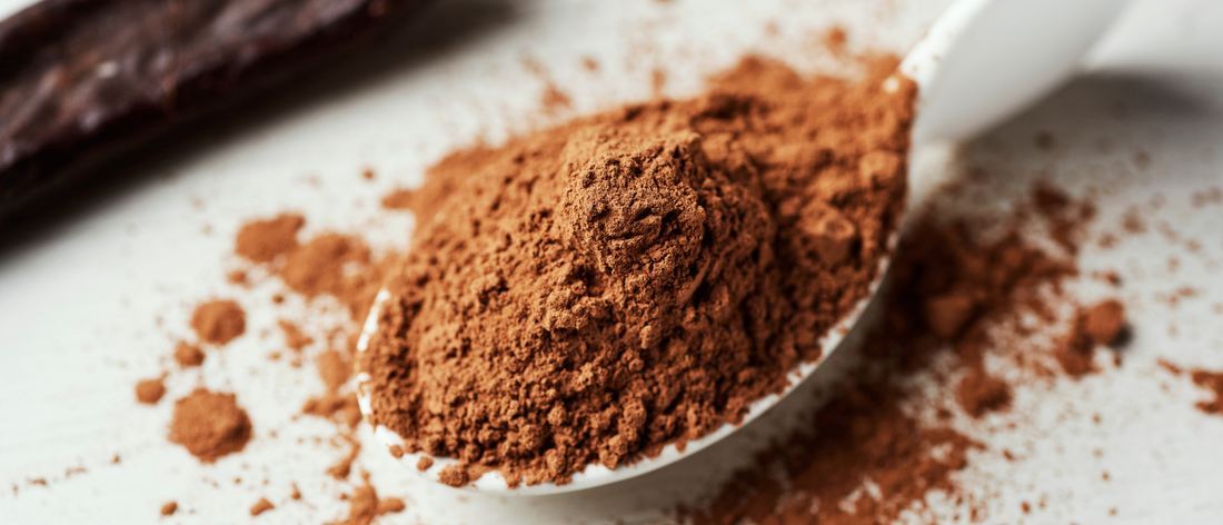 łyżka z kakao Primabiotic w proszku