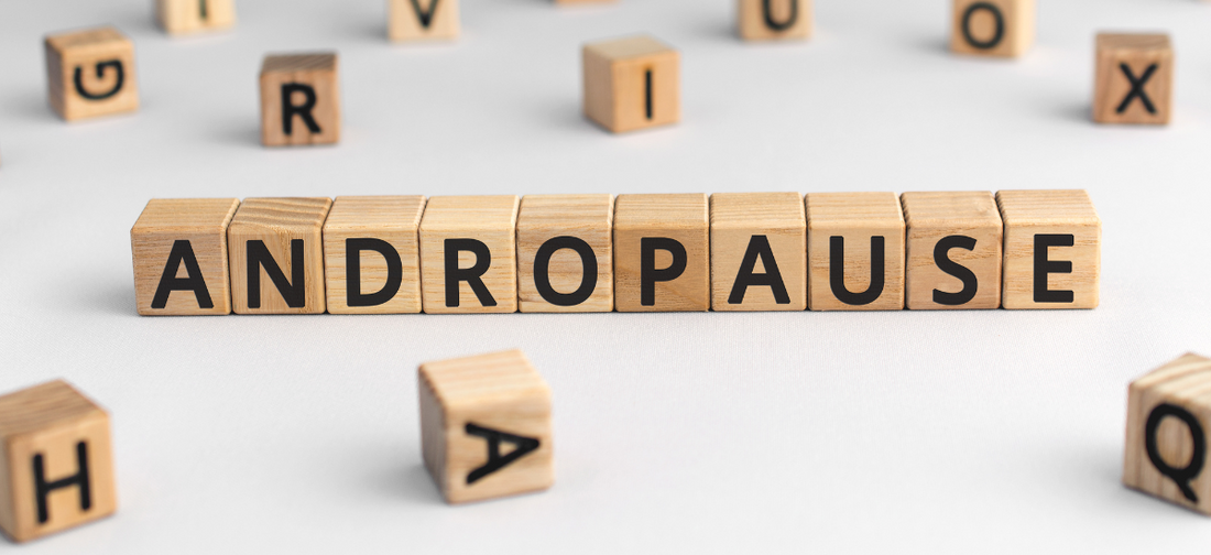 klocki układające napis andropauza