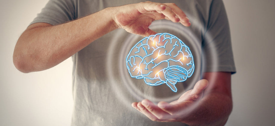 ilustracja mózgu i neuronów