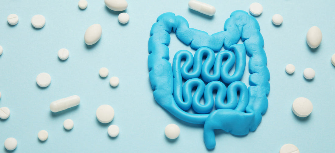 jaki probiotyk na jelita wybrać