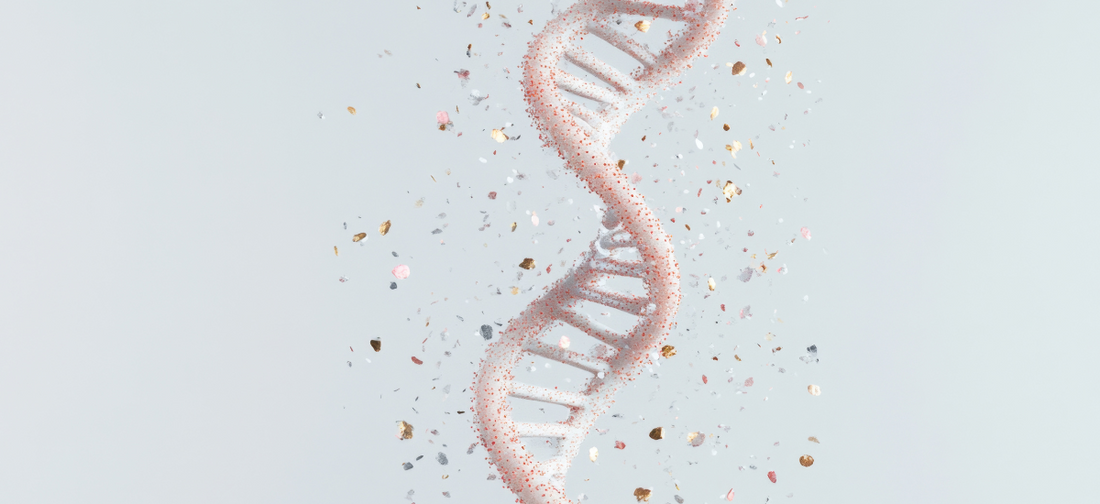 Kolagen hydrolizowany i peptydy kolagenowe - czym są i czym się różnią?