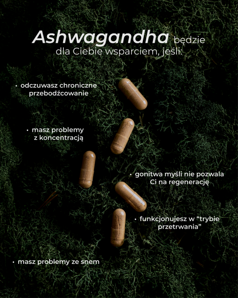 dla kogo jest ashwagandha - infografika