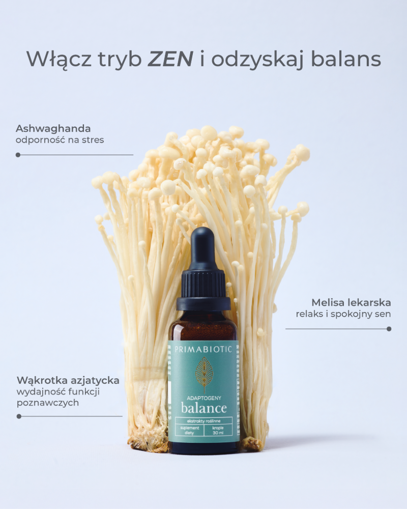 Adaptogeny balance primabiotic - infografika z wymienionymi składnikami: ashwagandha, melisa, wąkrotka azjatycka