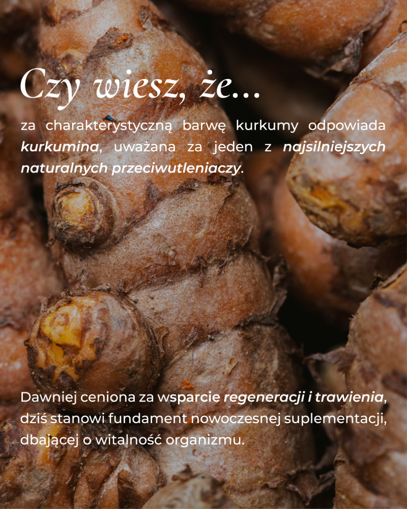 Właściwości kurkuminy