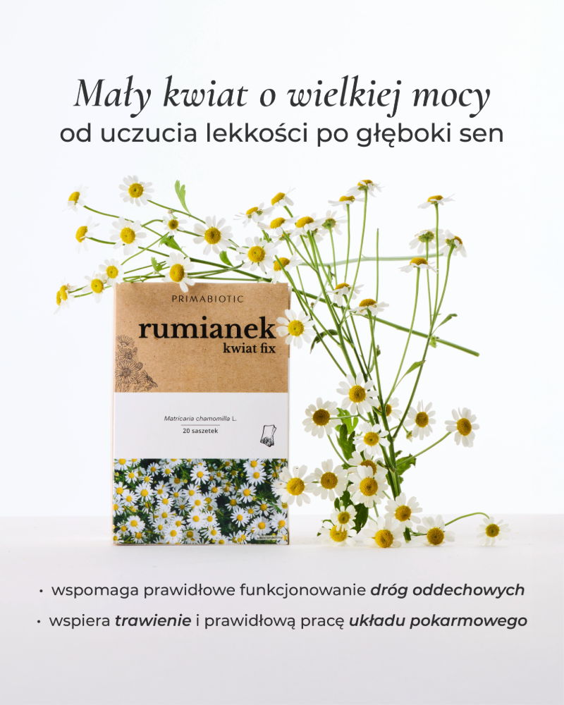 kwiaty-rumianku