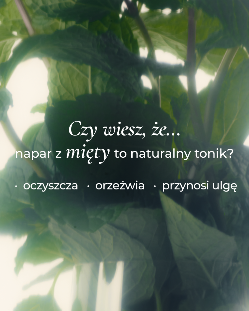 liscie-miety