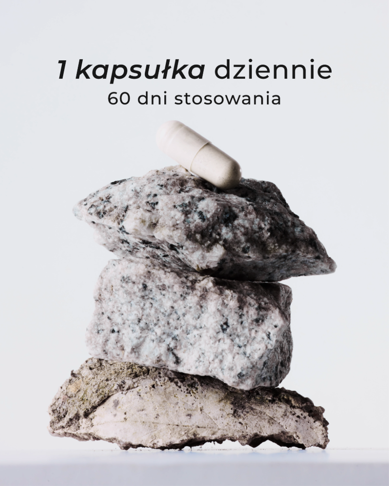 kapsulka-na-kamieniu