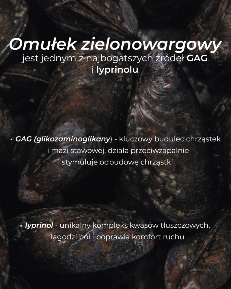 Infografika - czym jest omułek zielonowargowy. Żródło GAG i lyprinolu.