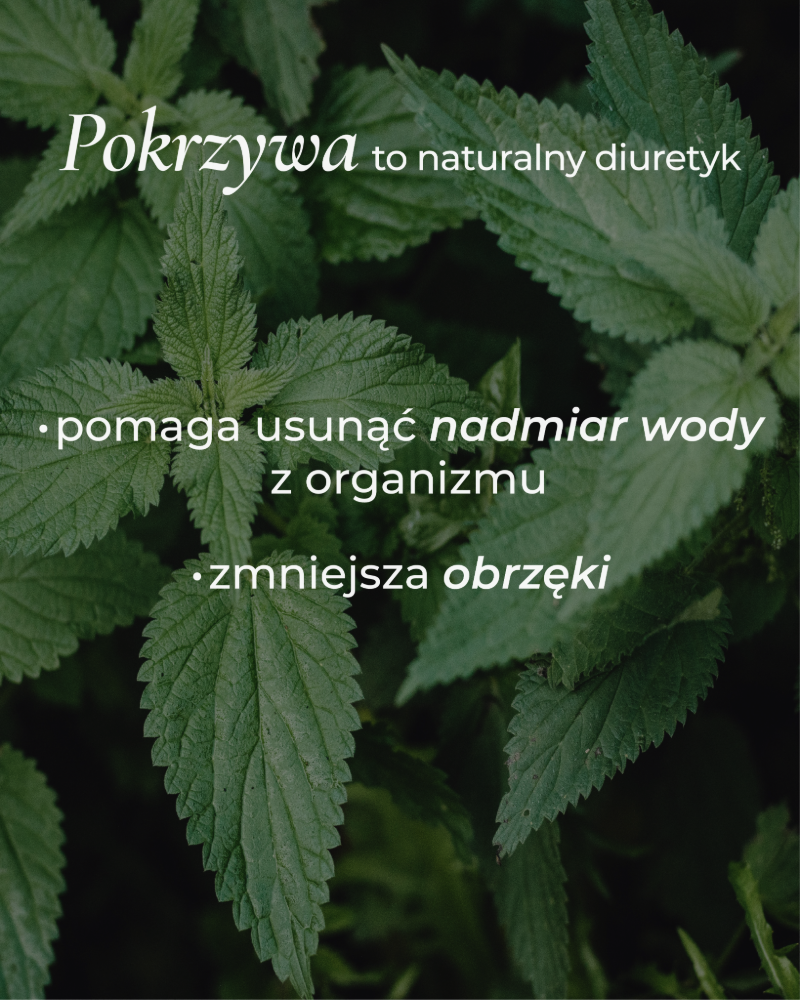 liscie-pokrzywy