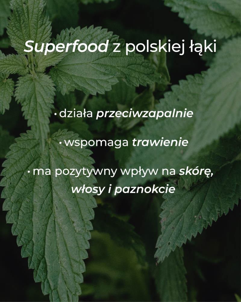 liscie-pokrzywy