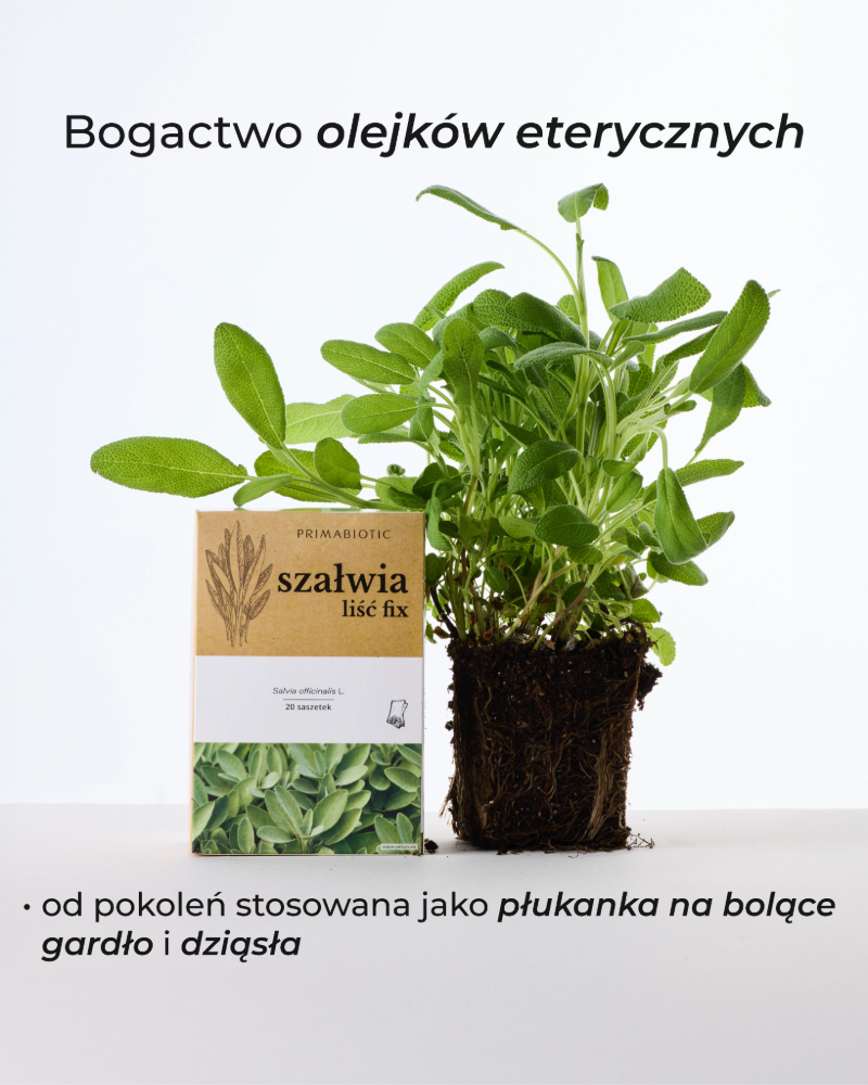 Szałwia herbata