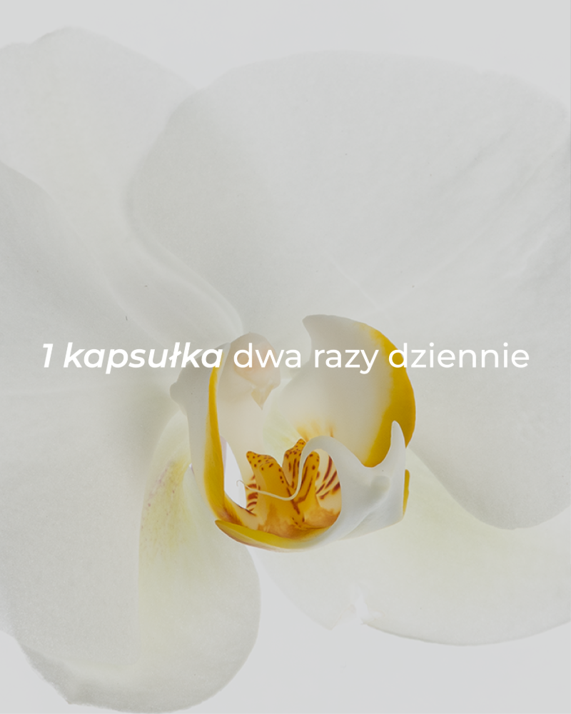 kwiat-z-bialymi-platkami