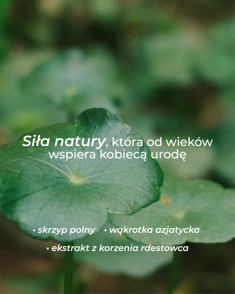 Infografika z wymienionym składem suplementu na urodę Primabiotic: skrzyp polny, wąkrotka azjatycka, ekstrakt z korzenia rdestowca 